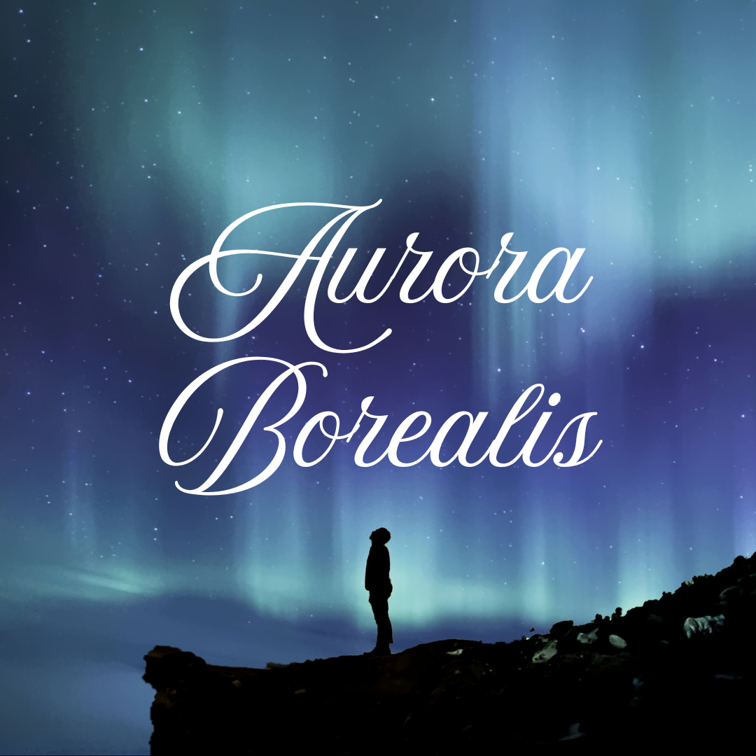 Aurora Borealis Sponsorship - Be Seen! Gala