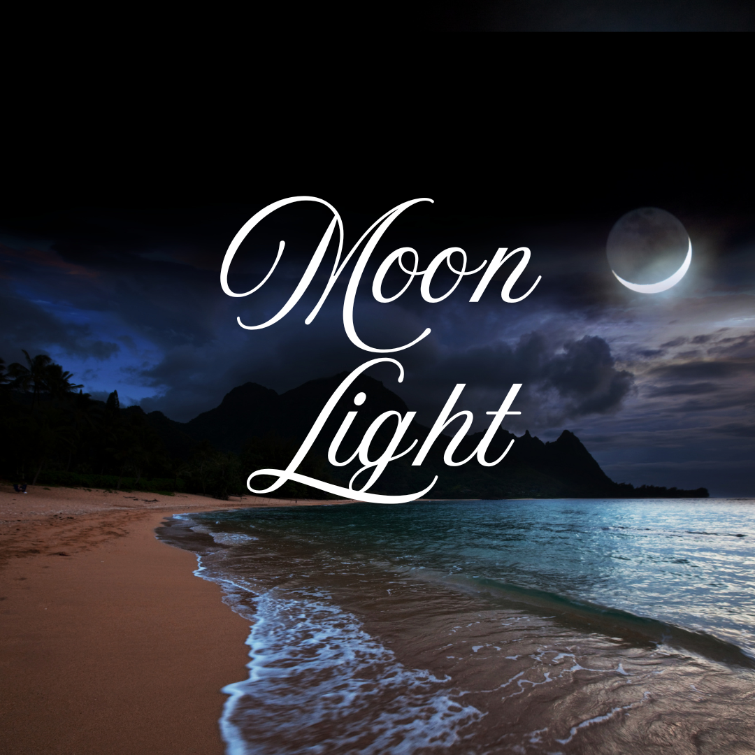 Moon Light Sponsor - Be Seen! Gala